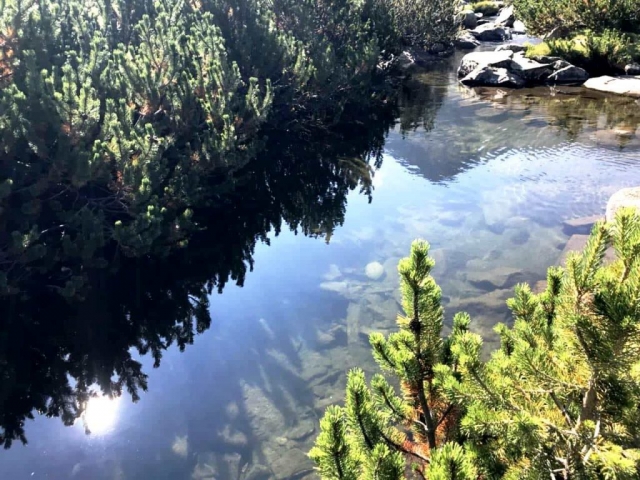във водите на Пирин