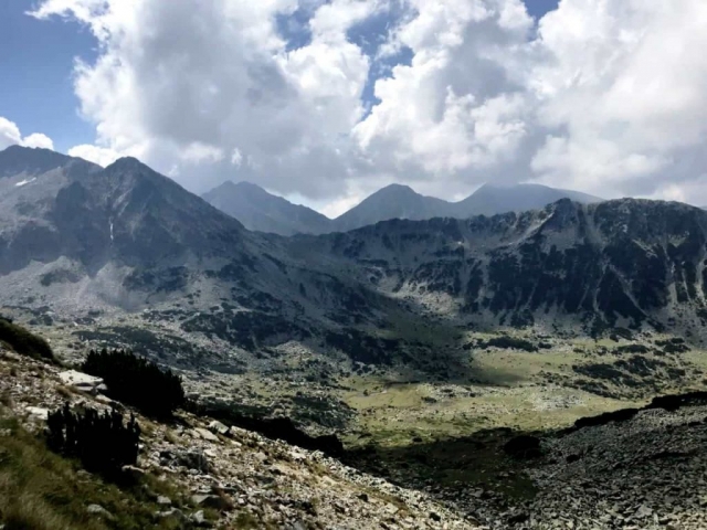 красота
