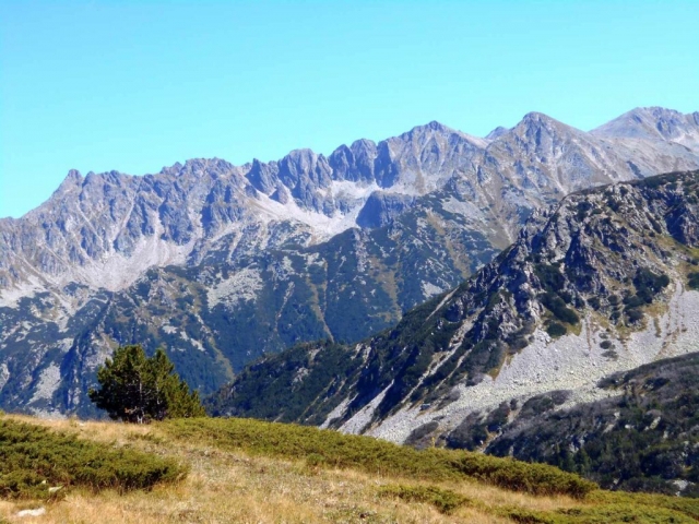 Strajite